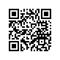 4TR-21614-10-33 STAY 2