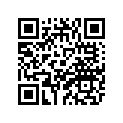 4TW-28381-00-00 