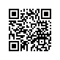 4TX-21161-00-00 