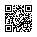 4TX-24110-30-06 