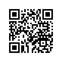 4TX-24748-00-00 ﾌﾞﾗｹﾂﾄ,ｼｰﾄ