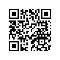 4U5-84527-00-00 Виброгаситель