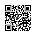 4U8-11656-10-00 Вкладыш Шатунный