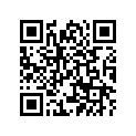 4U8-11656-20-00 Вкладыш Шатунный