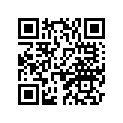 4V0-17221-00-00 
