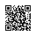 4V1-16380-00-00 