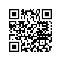4V1-21110-01-33 