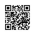 4V2-23167-10-00 Держатель оси