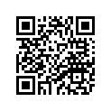 4VR-21110-30-00 