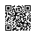 4VV-F3120-00-00 Внутренняя трубка