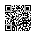 4WM-11311-00-00 Цилиндр