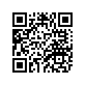 4WV-17620-10-00 PRI. SLIDING SHEAVE