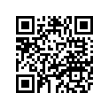 4WV-21560-00-00 Расширитель крыла