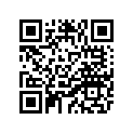 4WV-21691-00-00 FLAP
