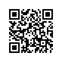 4XM-11630-00-00 Поршень