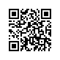 4XV-11133-10-00 Втулка Направляющая