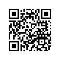 4XV-21511-01-33 