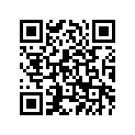4XV-83912-10-00 . Lever 1