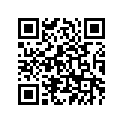 4XV-83922-00-00 Lever 2