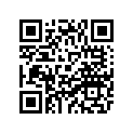 4XY-28357-10-00 STAY 2