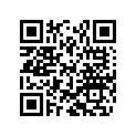 50180077 SHIM 16X38X0,30