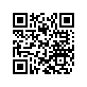 50180995 SHIM D25,30 X D19 X T0,4    14