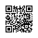 50300-ZW2-F30ZA SSBY-11-50300-ZW9-832ZA-BRKT,R.*NH282MU*