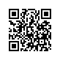 50301-GFM-970 STAY