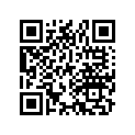 50308-272-010 Насадка рукоятки