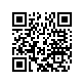 50308053100 BUSH F.NUM.PL.CAR. 6X11X22X9,5