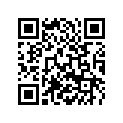50308191600 Displaceme. Sticker 125 Sx  05