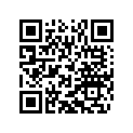 50310074197 SPOKE M5X197-10G 18 DDE