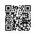 5031250 PIN