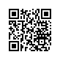 503141300 Prot. Butee Arr*stopp.-prot.rr