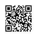 5031493 LEVER