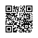 5031494 LEVER