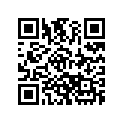 503189167 Amortisseur    *shock