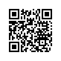 503189239 Slider Shoe