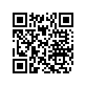 503189250 Amort. Arr.    *shock-rear Formula Delux