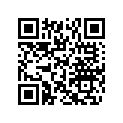 503189631 RUNNER SHOE (151
