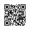 503189666 Amort. Cent.   *shock-center Mach Z (sta