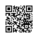 503189781 Amort.arr.elect*shock-rr Elect. Includes