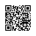 503189890 Amort. Arr.    *shock-rear (europe-sport