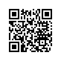 503190062 Lamelle 700x006*disc .700 X 006 .