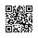 503190083 Lamelle1.00x015*disc 1.00 X 015 .