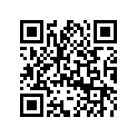 503190085 Lamelle1.10x008*disc 1.10 X 008 .