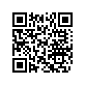 503190089 Lamelle1.25x006*disc 1.25 X 006 .