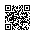 503190091 Lamelle1.25x010*disc 1.25 X 010 .