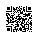 503190093 Lamelle1.25x015*disc 1.25 X 015 .