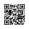 503190227 Shoe (SPORT)